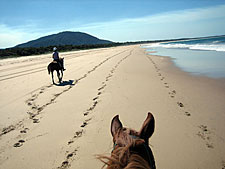 Australia-NSW-Comboyne Plateau and Beach Ride